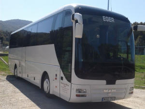 MAN R07 Lions Coach